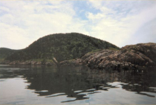 566: Red Island. "Margaries Cove Point". (2000) [courtesy of Madonna (Bishop) Mulrooney]